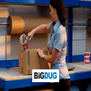 BiGDUG Coupons